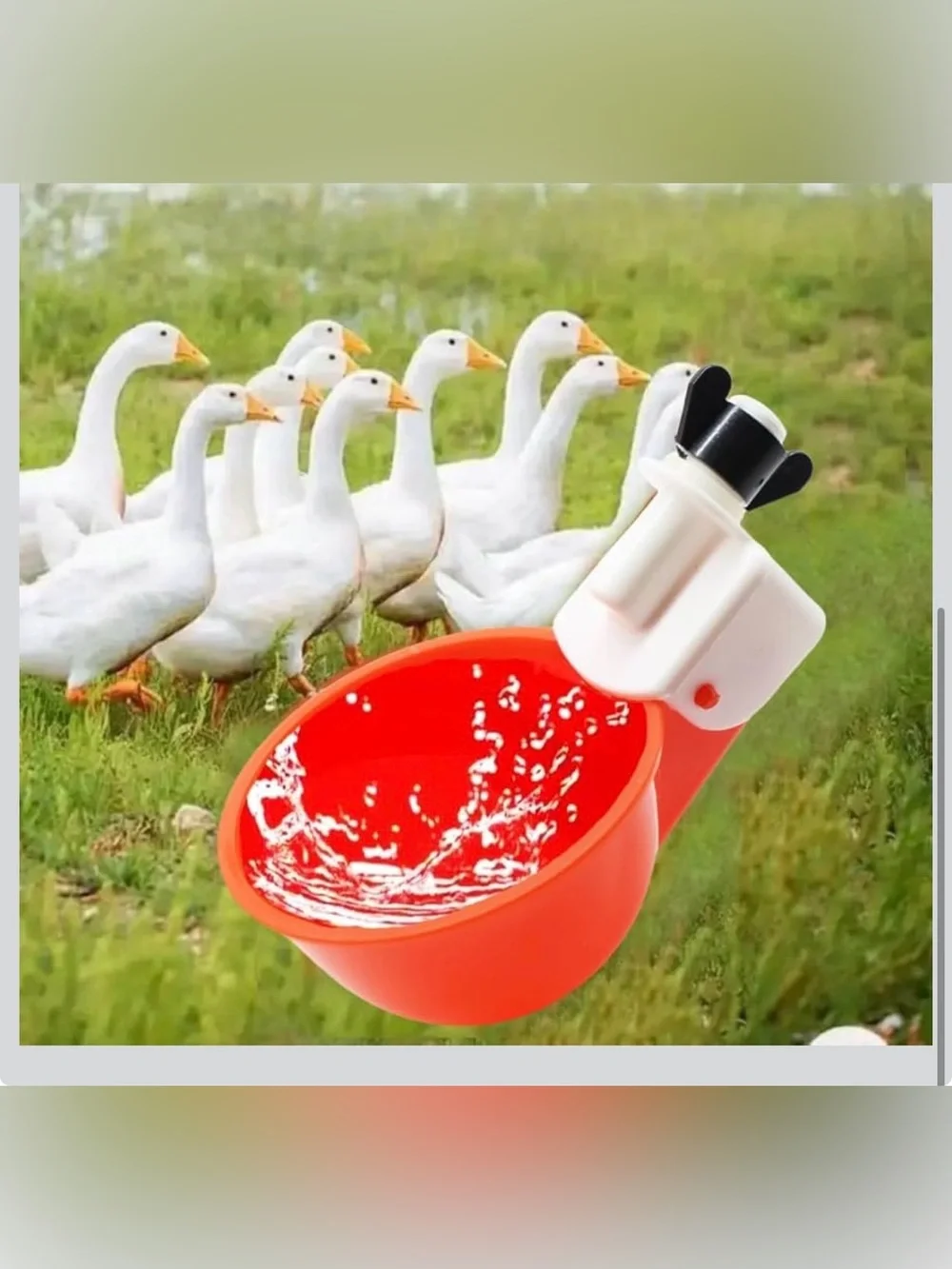 New Open Bag 12pack Chicken Waterer Cups, Poultry Water Feeder with Drill Bit